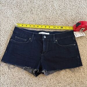 NWT Joes jeans raw edge shorts sz 28